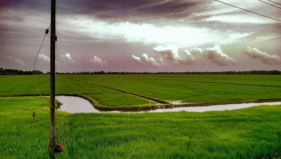 Golden Beach Home Stay Alappuzha Εξωτερικό φωτογραφία